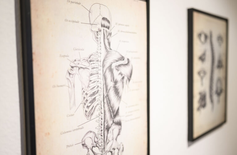 Physiotherapie am Viktualienmarkt nach wissenschaftlichen Grundlagen