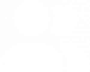 Physio Online Mitglieder